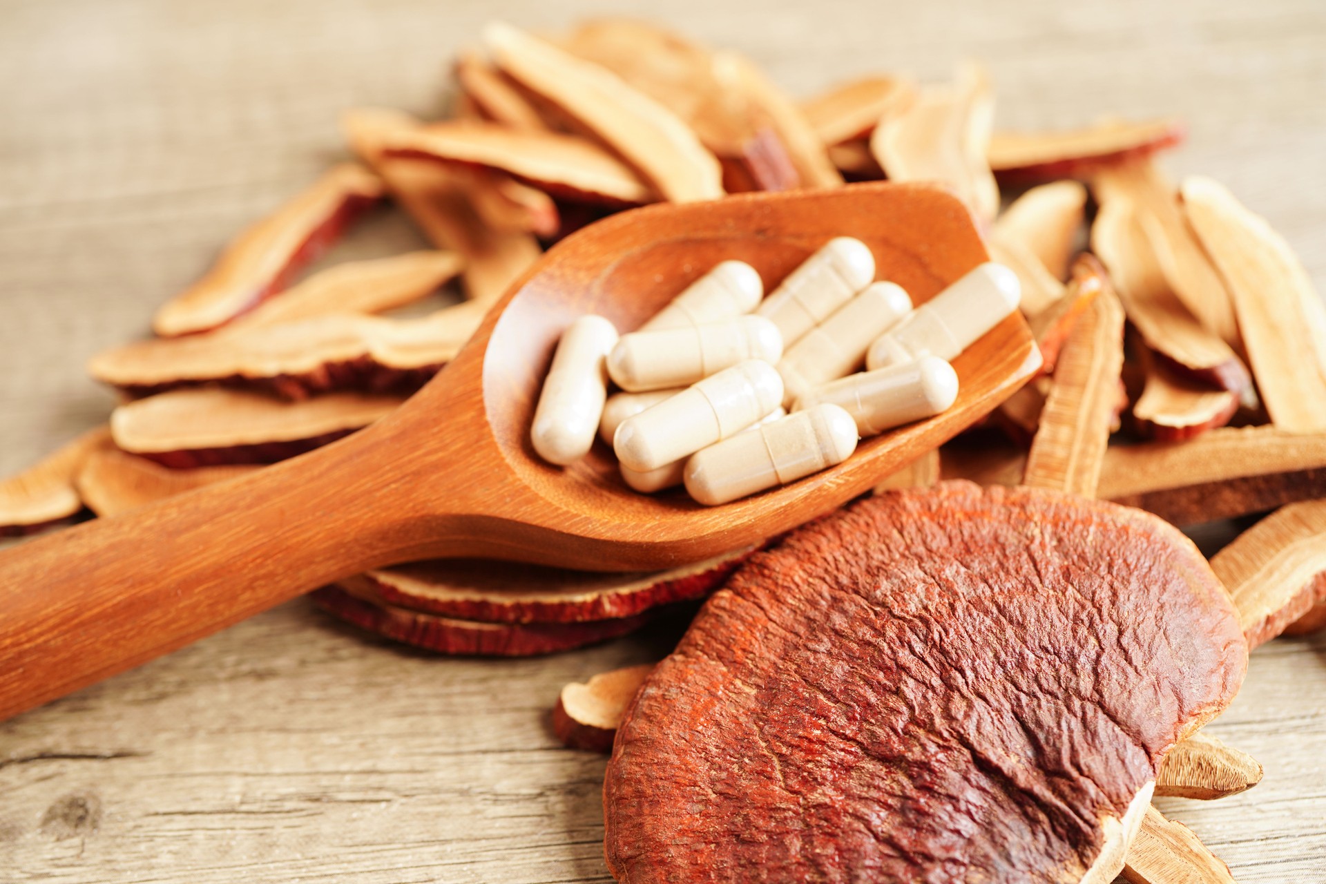 Lingzhi or Reishi mushroom with capsules, organic natural healthy food.